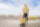 Vibro plāksne Wacker Neuson BPS2050Bw Vibro plāksne Wacker Neuson BPS2050Bw