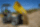 Riteņu pašizgāzējs DW20 Wacker Neuson Riteņu pašizgāzējs DW20 Wacker Neuson