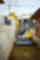 Wacker Neuson EZ50 (4617 kg)