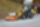 Frontālais iekrāvējs Wacker Neuson WL70 Frontālais iekrāvējs Wacker Neuson WL70
