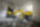 Track dumper Wacker Neuson DT08