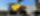Pašizgāzējs Wacker Neuson DV100 (10t) Pašizgāzējs Wacker Neuson DV100 (10t)
