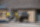 Frontālais iekrāvējs Wacker Neuson WL750 Frontālais iekrāvējs Wacker Neuson WL750