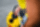 Vibro plāksne Wacker Neuson BPS2050Bw Vibro plāksne Wacker Neuson BPS2050Bw