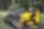 Diesel mini excavator Utility Track Loader Wacker Neuson (1250 kg) Diesel mini excavator Utility Track Loader Wacker Neuson (1250 kg)