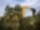 Backhoe loader JCB 4CX Pro Dualdrive (8585 kg) Backhoe loader JCB 4CX Pro Dualdrive (8585 kg)