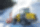 Frontālais iekrāvējs Wacker Neuson WL70 Frontālais iekrāvējs Wacker Neuson WL70